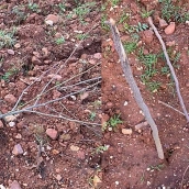 Imágenes de los destrozos del Bosque Didáctico de la Fundación Prada a Tope