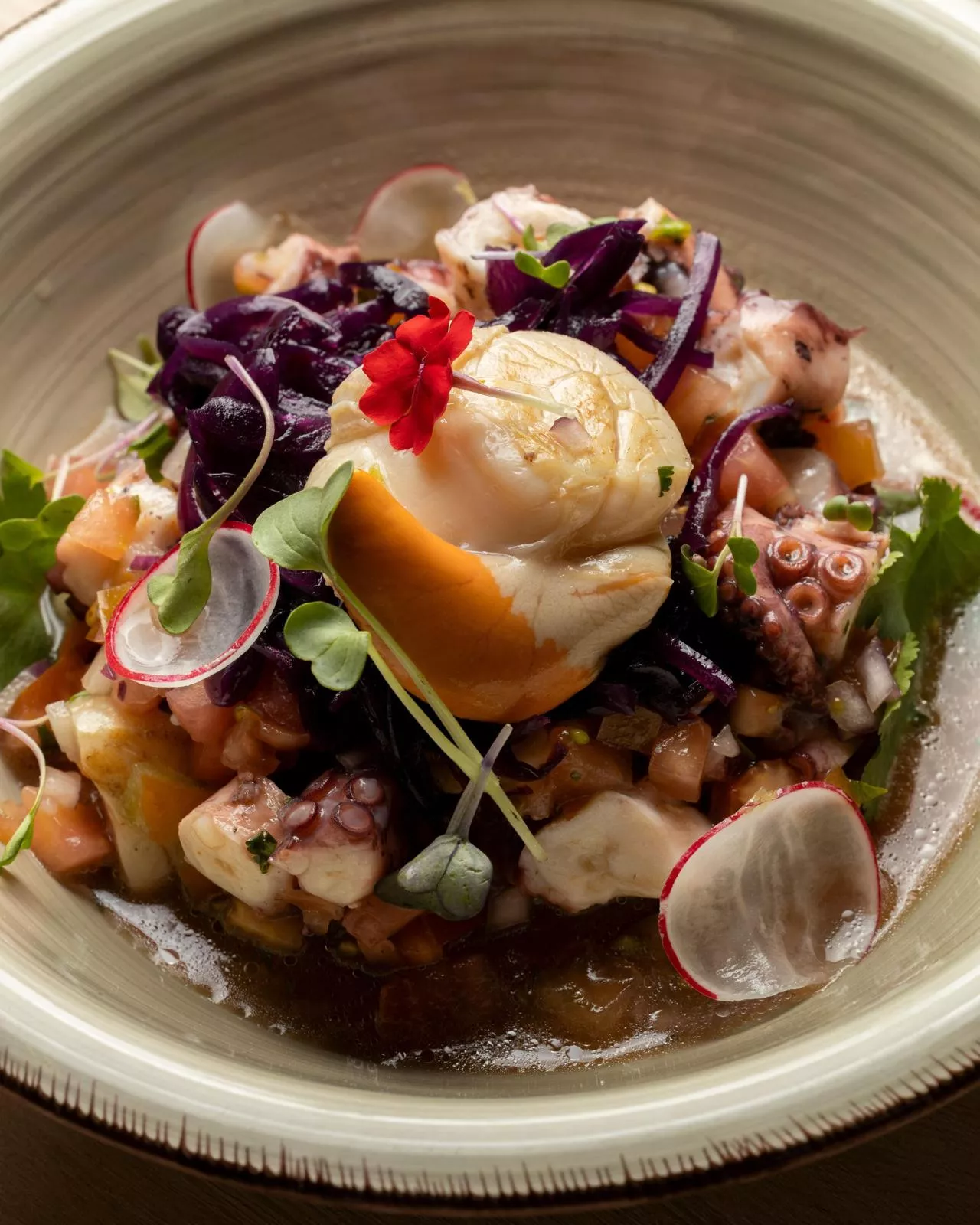 El Restaurante La Violeta de Ponferrada presenta nueva oferta gastronómica con el cocinero berciano Noel Gallego (7) El Restaurante La Violeta de Ponferrada presenta nueva oferta gastronómica con el cocinero berciano Noel Gallego (7)