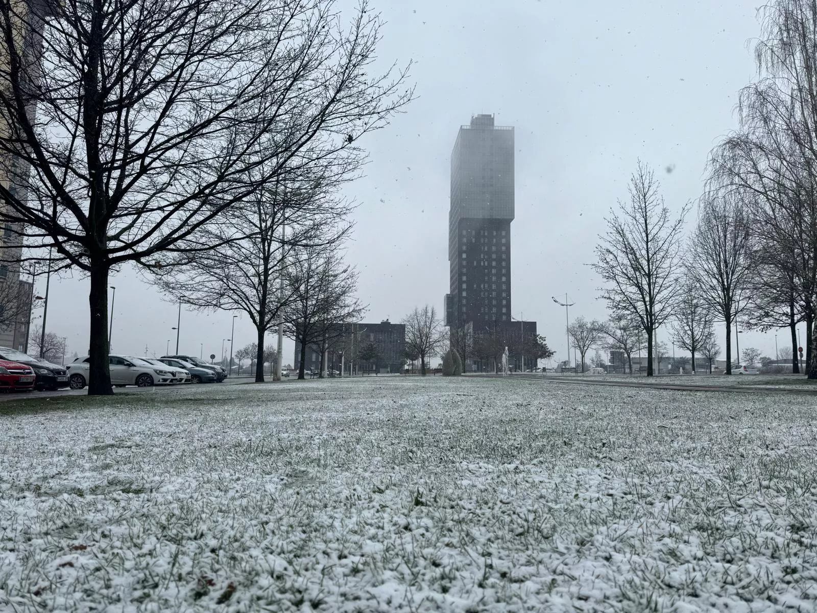 Nieve en La Rosaleda Nieve en La Rosaleda