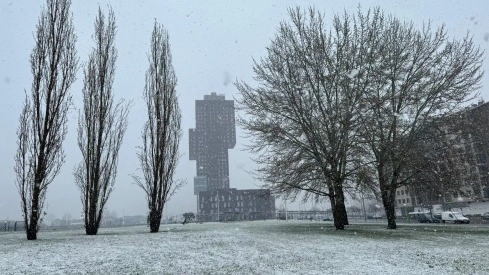 Nieve en La Rosaleda Nieve en La Rosaleda