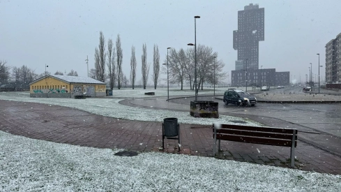 Nieve en La Rosaleda Nieve en La Rosaleda