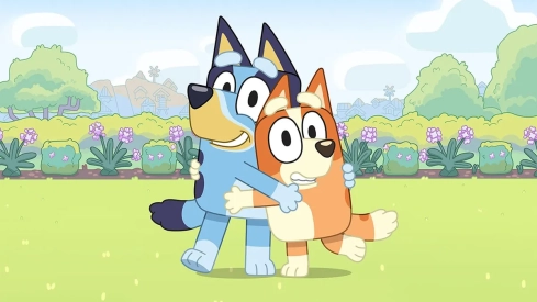 Bluey y Bingo