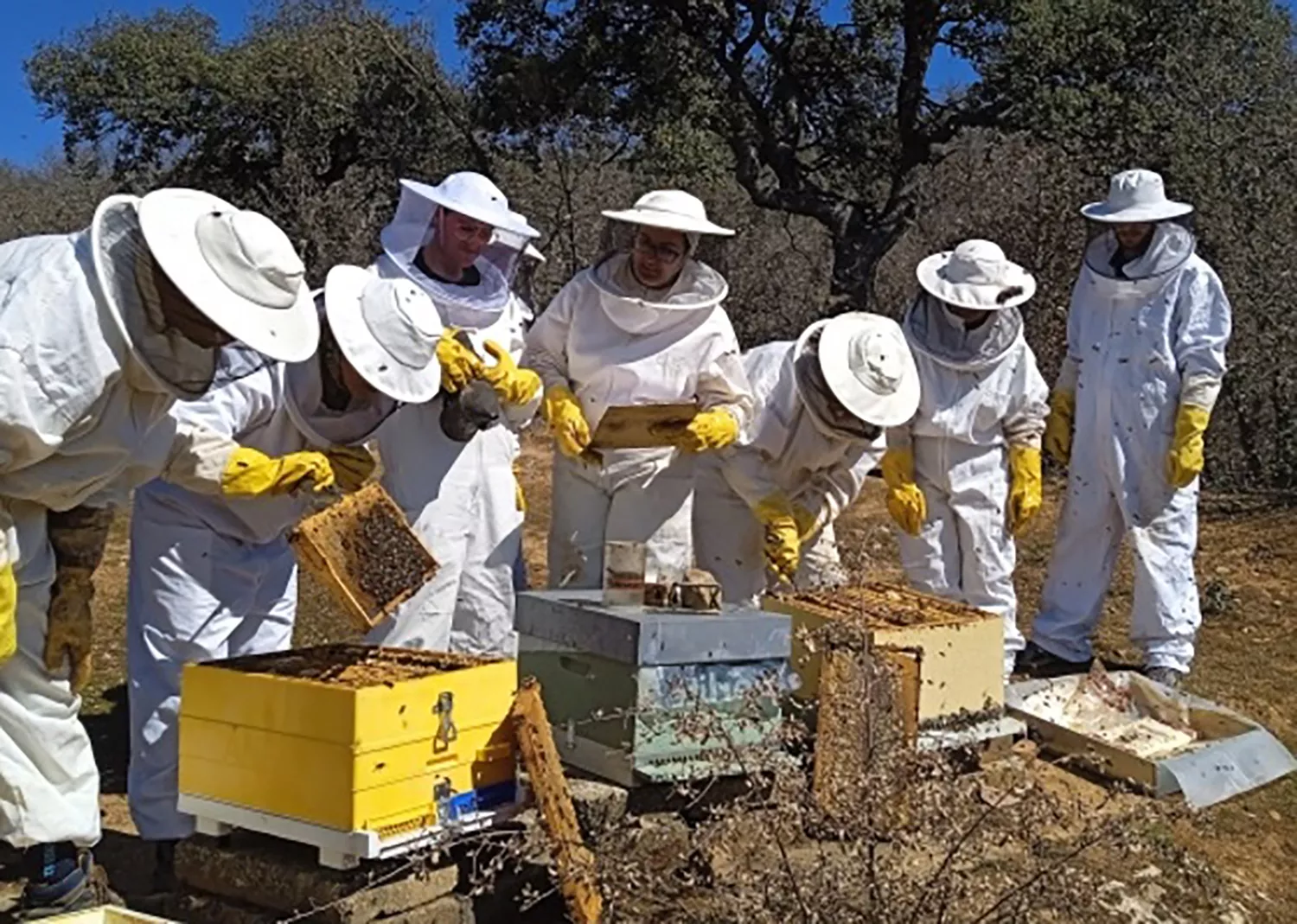 La Diputación de León forma a 16 personas desempleadas en trabajos forestales, apicultura, viveros y jardinería