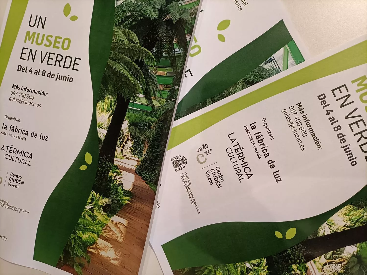 Programa Un museo en verde