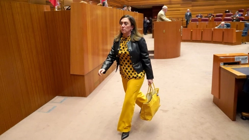 Castilla y León acusa a Asturias de desviar la atención hacia Valdeprado y de olvidarse de la Ponferrada-La Espina