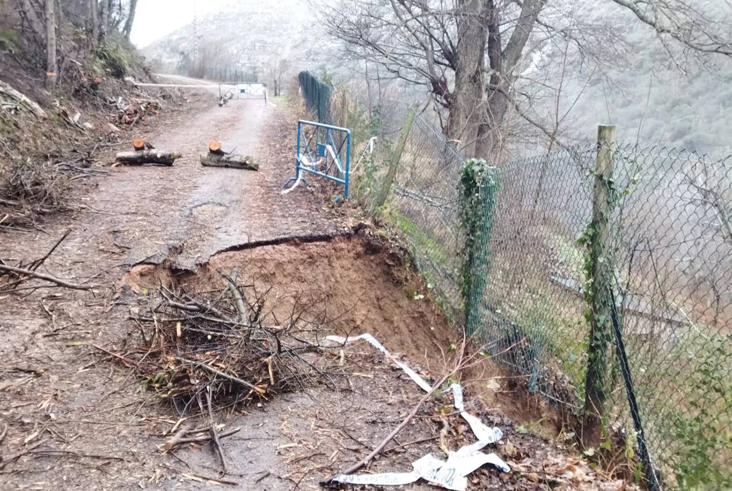 La caída de un árbol provoca un socavón en la carretera de acceso a Palacios de Compludo