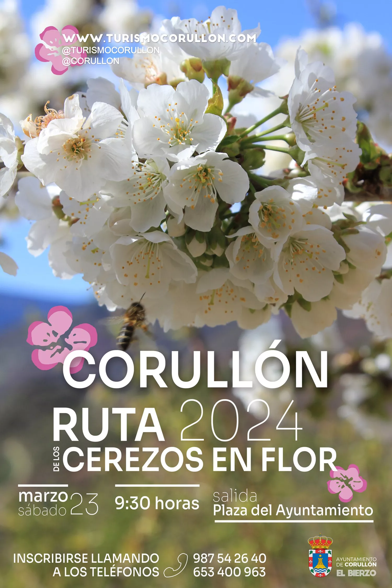 cerezos corullon