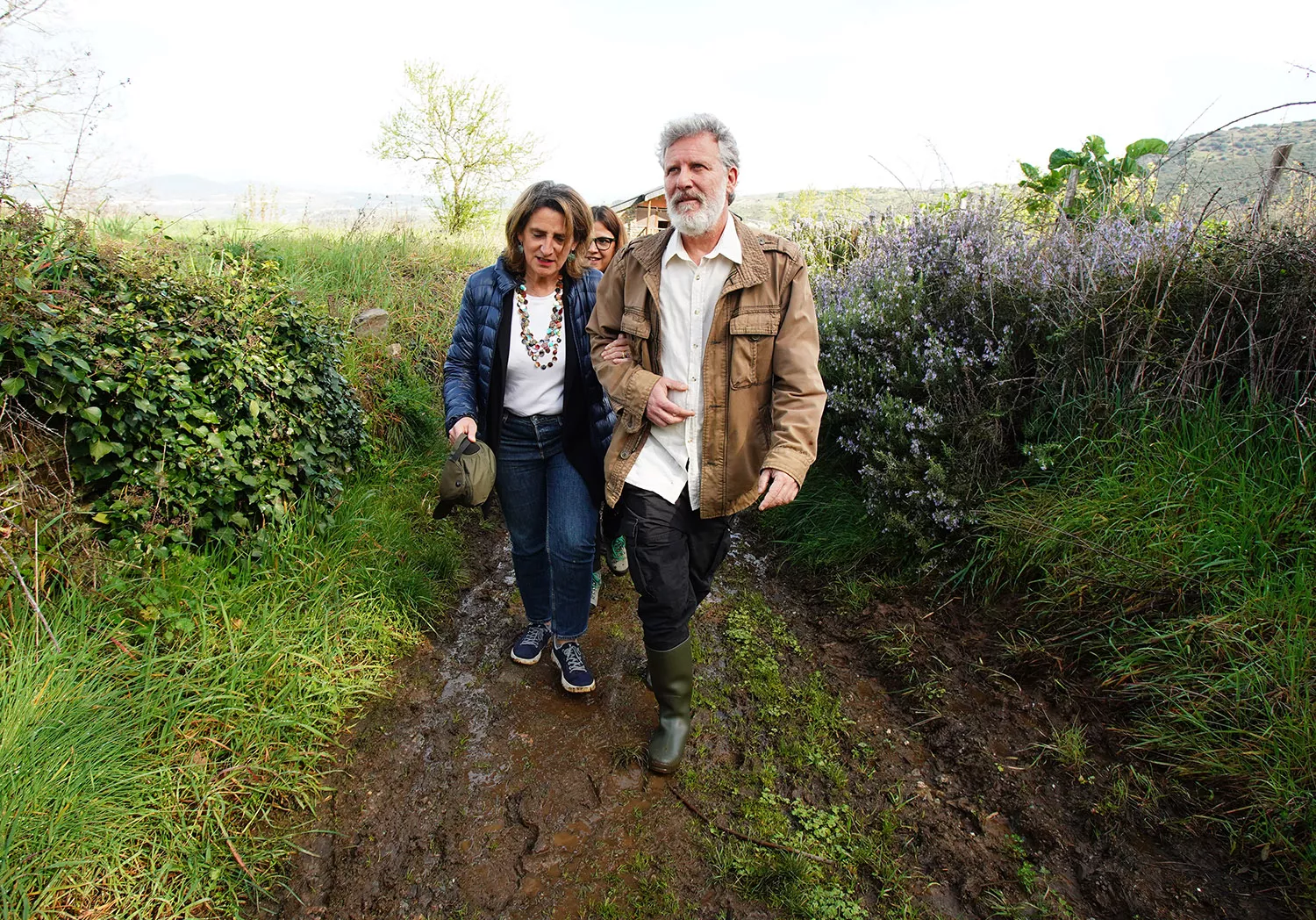 César Sánchez, ICAL . La vicepresidenta del Gobierno y ministra de Transición Ecológica y Reto demográfico, Teresa Ribera, durante su visita al soto de castaños de Villar de los Barrios, 'Bosque del año 2024' . César Sánchez, ICAL . La vicepresidenta del Gobierno y ministra de Transición Ecológica y Reto demográfico, Teresa Ribera, durante su visita al soto de castaños de Villar de los Barrios, 'Bosque del año 2024' .