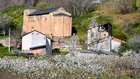 Corullón da la bienvenida a la primavera con la espectacular floración de sus cerezos