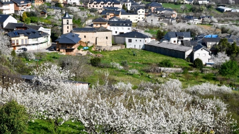 Corullón da la bienvenida a la primavera con la espectacular floración de sus cerezos