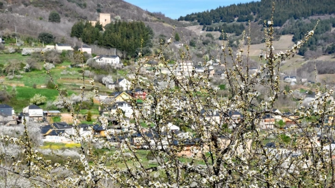 Corullón da la bienvenida a la primavera con la espectacular floración de sus cerezos