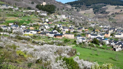 Corullón da la bienvenida a la primavera con la espectacular floración de sus cerezos