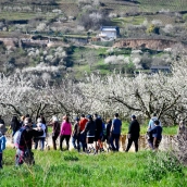 Corullón pone en 'ruta' la primavera con la espectacular floración de sus cerezos: Así luce y estas son las próximas fechas