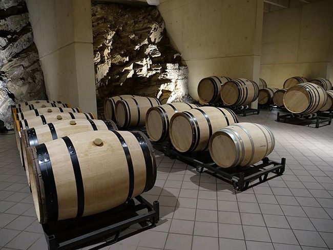 descendientes j palacios