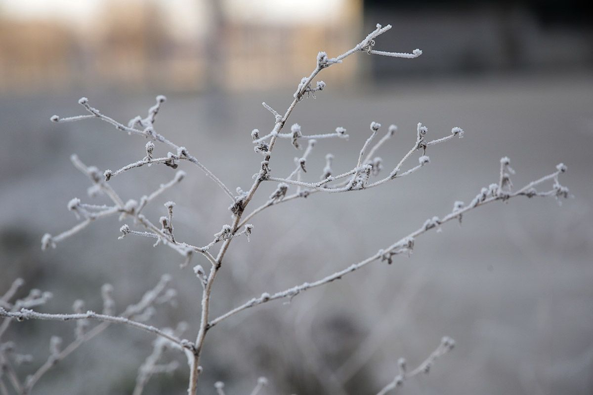 El puerto de San Isidro (León) registró la segunda temperatura más baja del país con 5,5 grados bajo cero