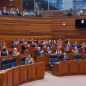 Votación en las Cortes de Castilla y León
