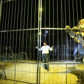 Paul Taylor, durante la acyuación con tigres en el Circo Coliseo