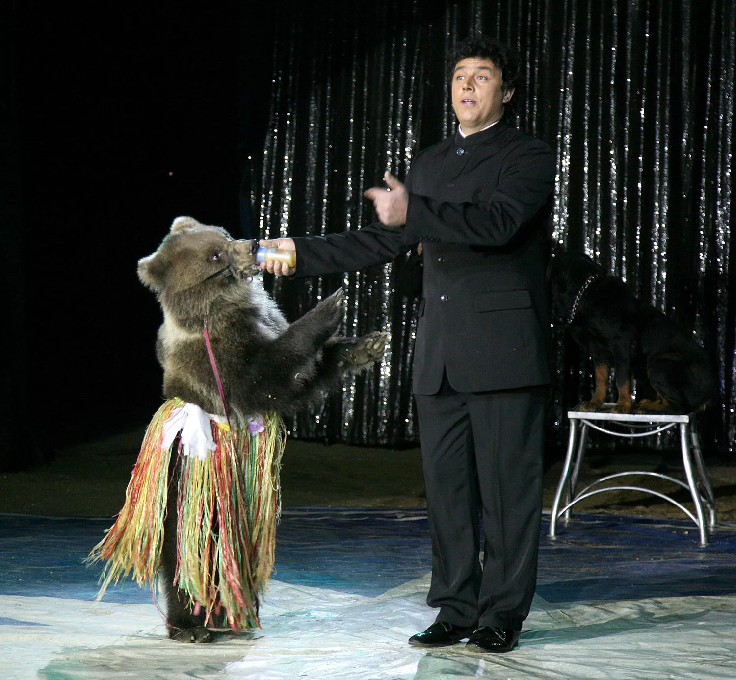 Paul Taylor, junto al oso pardo de ocho meses durante su actuación en el Circo Coliseo
