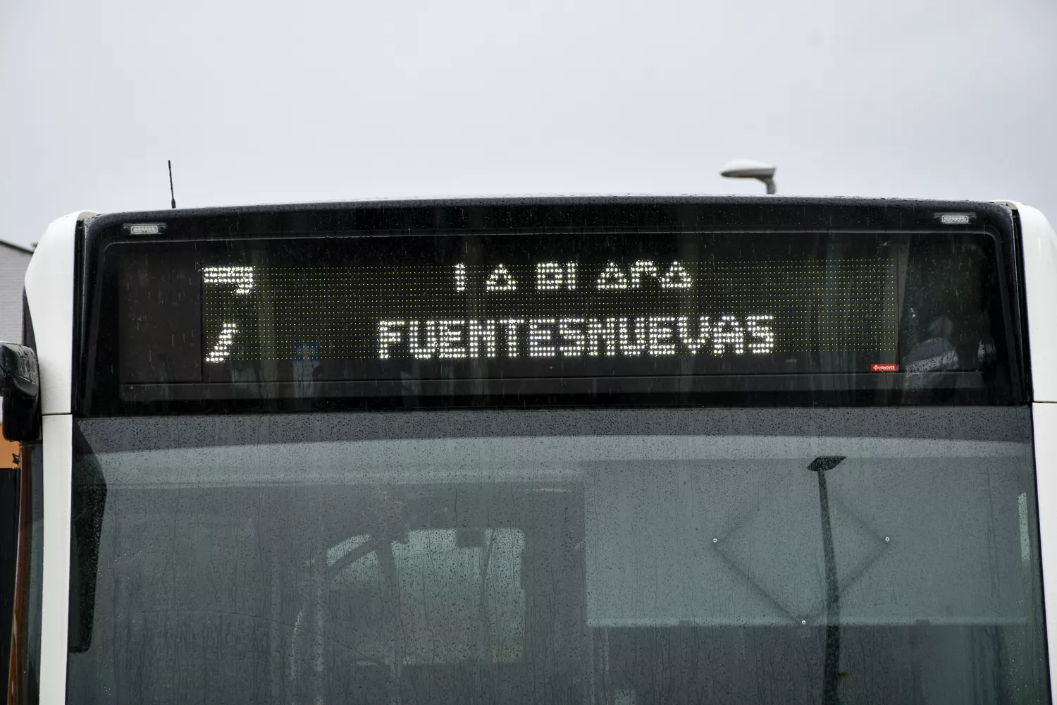 Nuevos autobuses urbanos 8