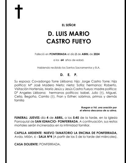 LUIS MARIO CASTRO FUEYO