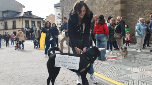 Bembibre graba el vídeo con el que espera ir al Grand Prix (15)