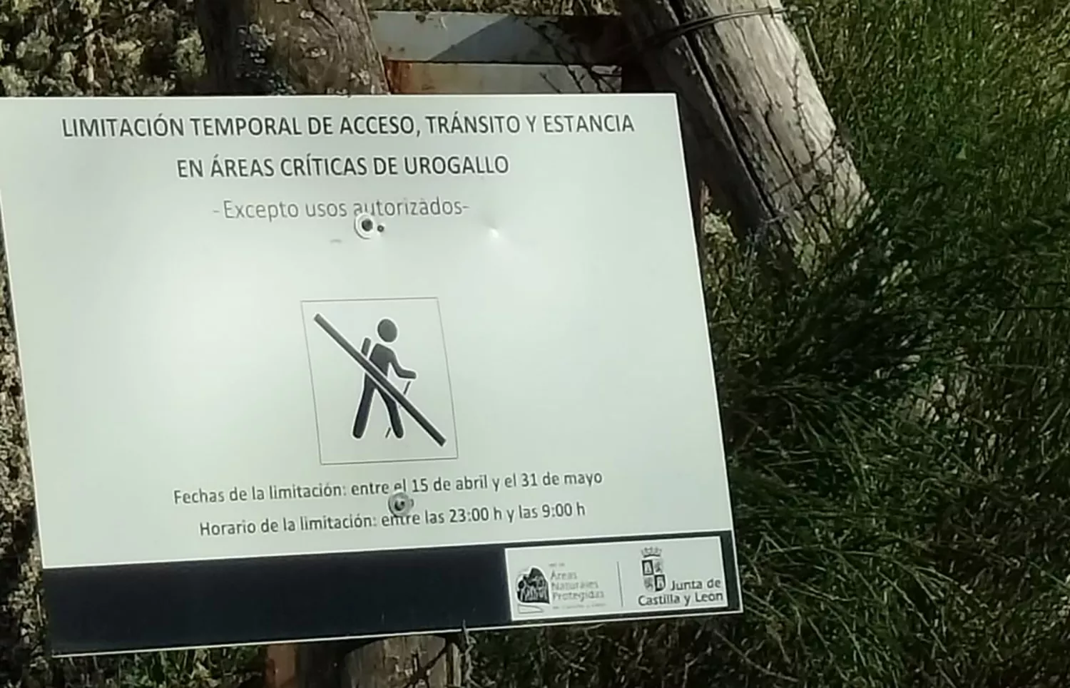 Restringido temporalmente el acceso a áreas críticas de urogallo en Palacios del Sil, Villablino y Murias de Paredes