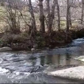 Arroyo Pedro desembocado en el río Cabrera