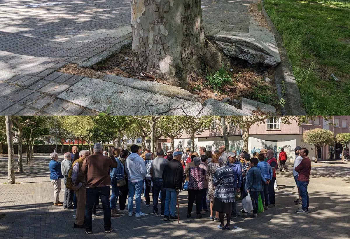 Reunión entre los vecinos de Navaliegos y el Ayuntamiento de Ponferrada por el problema de los plataneros