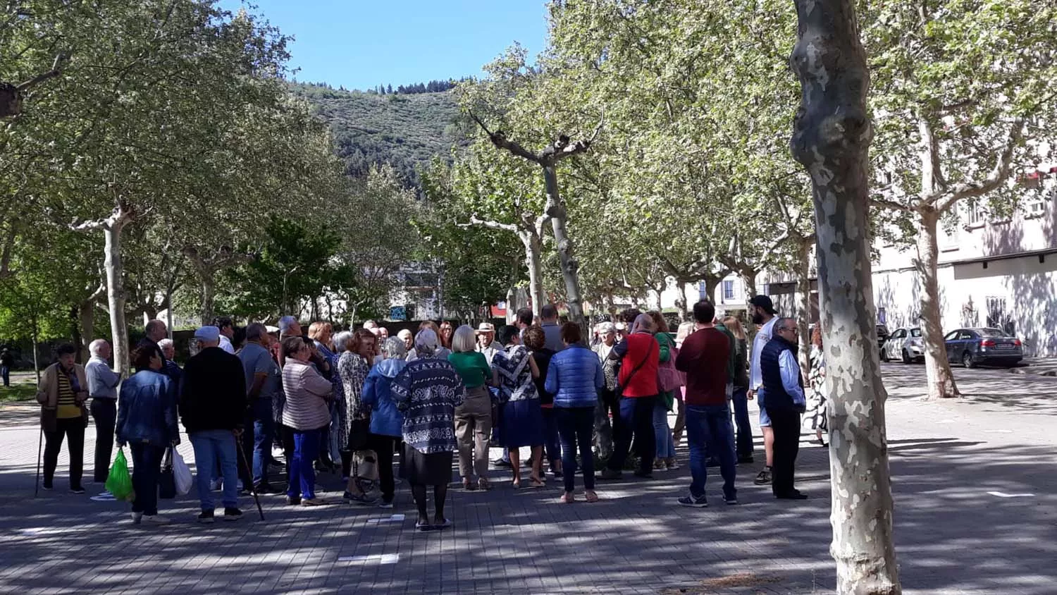Reunión entre los vecinos de Navaliegos y el Ayuntamiento de Ponferrada por el problema de los plataneros (4)
