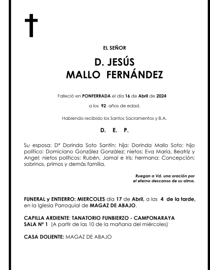 JESUS MALLO FERNANDEZ