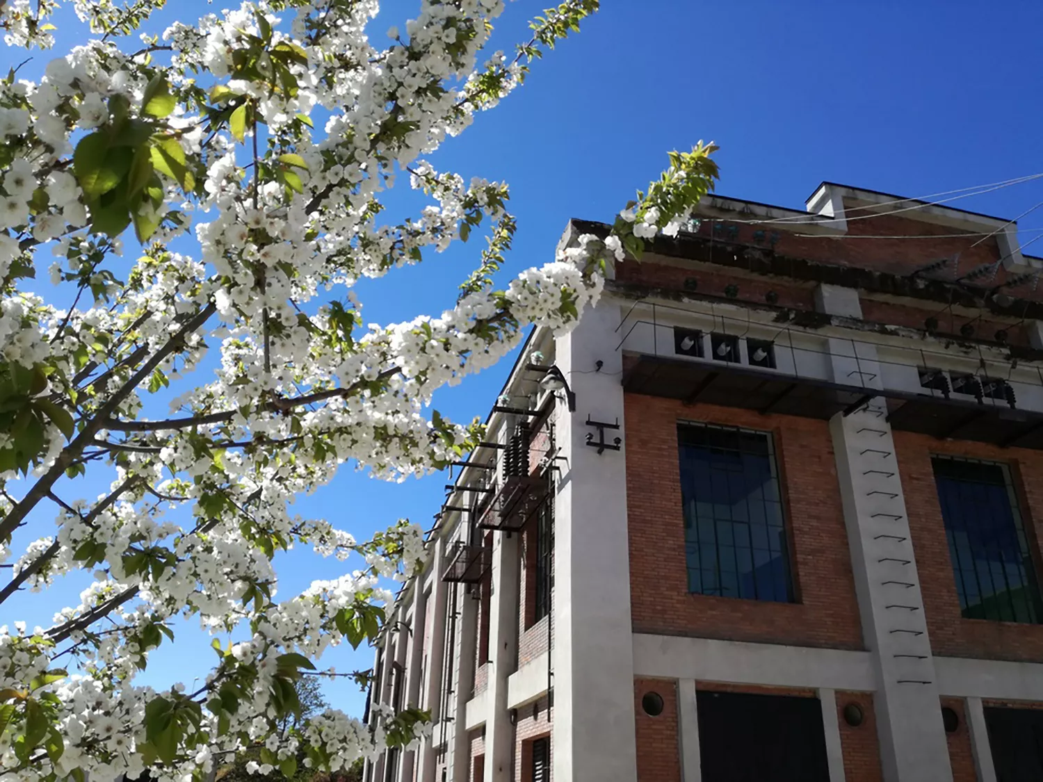 Paseos al fresco en el Museo de la Energía