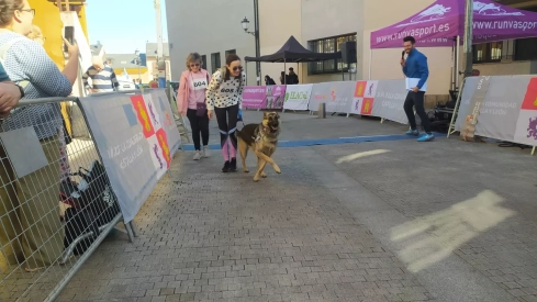 Ponferrada 'calienta zapatilla' para celebrar el Día de Castilla y León Ponferrada 'calienta zapatilla' para celebrar el Día de Castilla y León