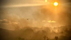 Incendio forestal en Rabanal del Camino (1)