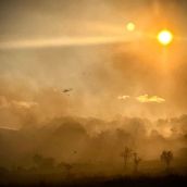 Incendio forestal en Rabanal del Camino (1)