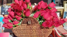 Rosas del Día del Libro en la Feria del Libro de Ponferrada | Foto: El Libro Imposible