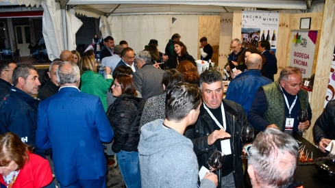 Feria del Vino de Cacabelos 2024 (16) Feria del Vino de Cacabelos 2024 (16)