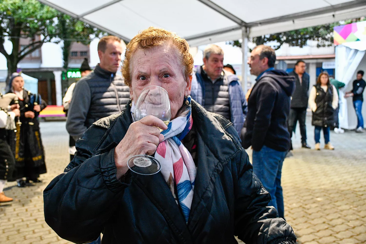 Feria del Vino de Cacabelos 2024 Feria del Vino de Cacabelos 2024