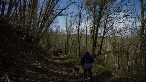 El soto de Villar de los Barrios 