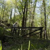 El soto de Villar de los Barrios