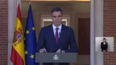 Sánchez celebra el Día de la Constitución "con el corazón" en Valencia y apuesta por "más libertad y prosperidad"