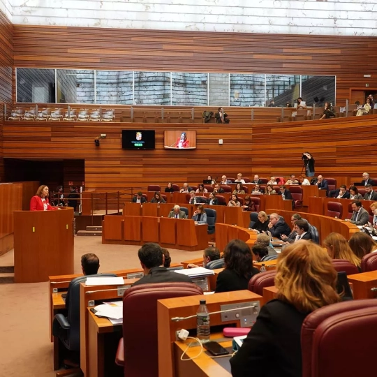 Pleno de las Cortes de Castilla y León 