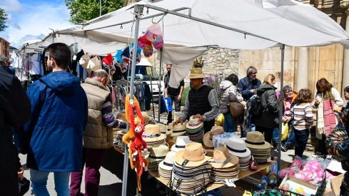 Feria de Cacabelos (78)