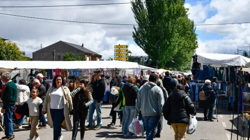 Feria de Cacabelos (77)