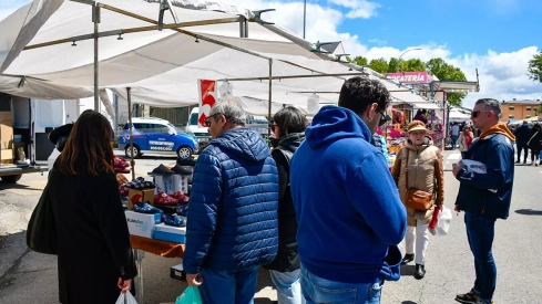 Feria de Cacabelos (7)