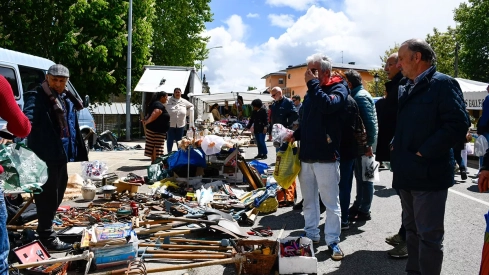 Feria de Cacabelos (27)