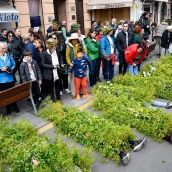 Maios de Villafranca (31)