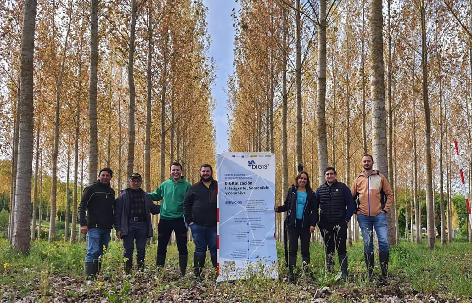 El Campus de Ponferrada crea gemelos digitales de chopos para estimar con mayor precisión el volumen de madera de plantaciones