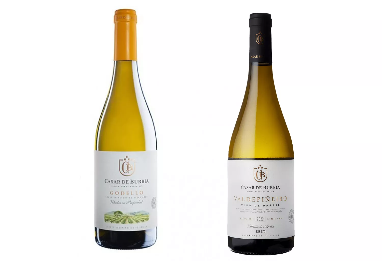 La DO Bierzo consigue dos medallas de oro en los Premios Ecovino La DO Bierzo consigue dos medallas de oro en los Premios Ecovino