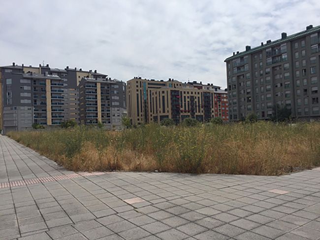 desbroce fincas ponferrada 1