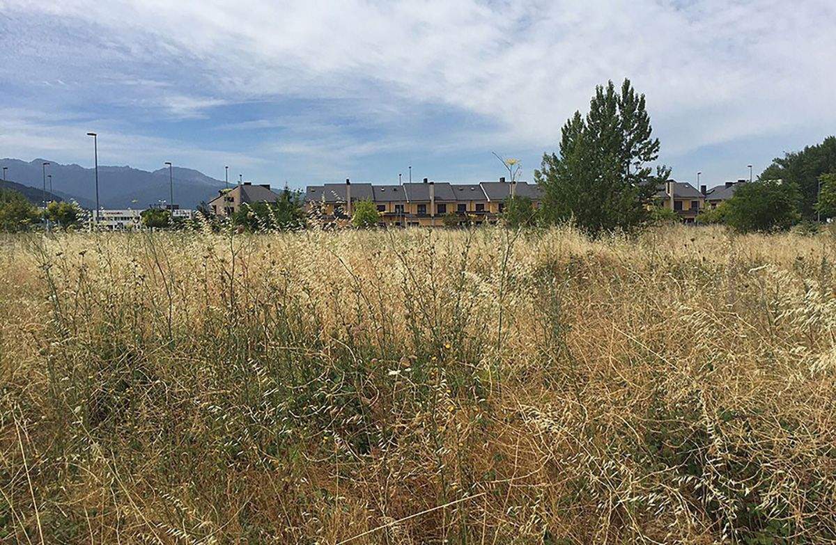 desbroce fincas ponferrada 2